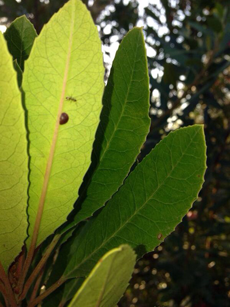 Three Dudes Who Made it to the Moon