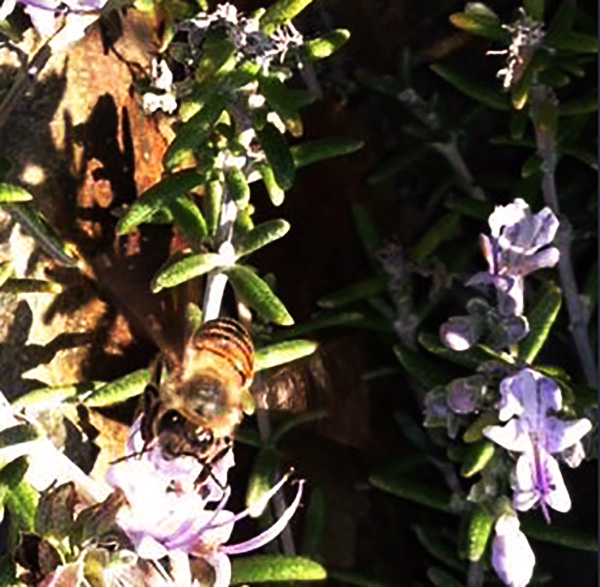 Three Dudes Who Made it to the Moon