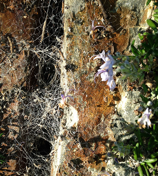 Three Dudes Who Made it to the Moon