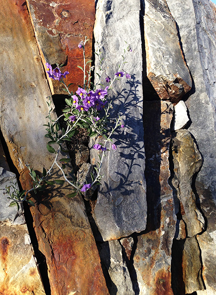 Three Dudes Who Made it to the Moon